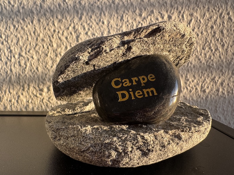 Mehr über den Artikel erfahren Carpe Diem in neuem Licht: Warum uns der vermeintliche Tod lehrt, uns weniger zu sorgen und mehr zu leben